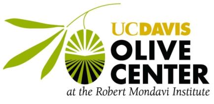 Volcanic olive oil - Virgin Olive Oil