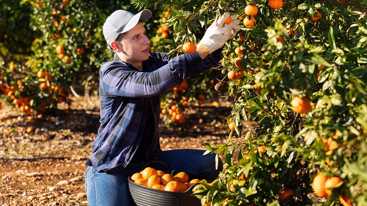 How Greek producers and the 21 Greek PDO products will be protected under the Mercosur Agreement