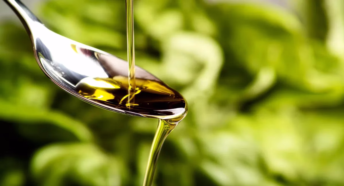 WebP Oil